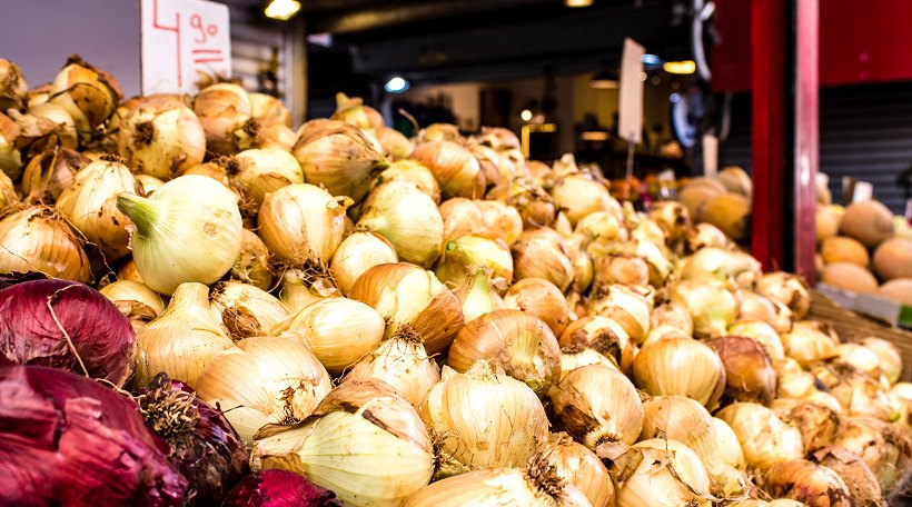 SAVJET AGRONOMA: Sadnja i zaštita ozimog luka