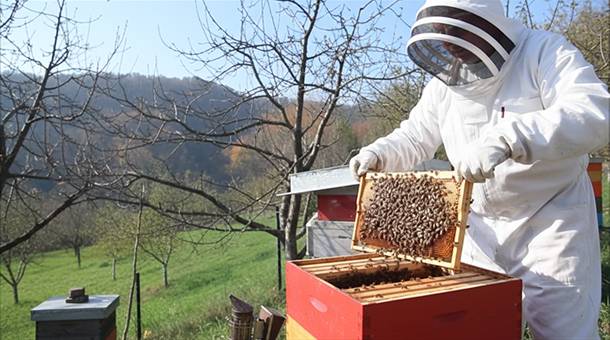SAVJET AGRONOMA: Kontrola pčelinjih društava u februaru