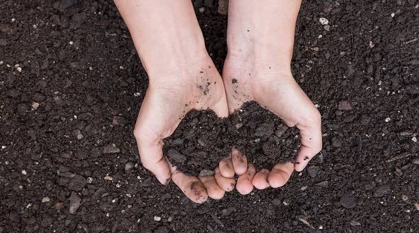 SAVJET AGRONOMA: Organska gnojidba kao temelj dugoročne plodnosti tla